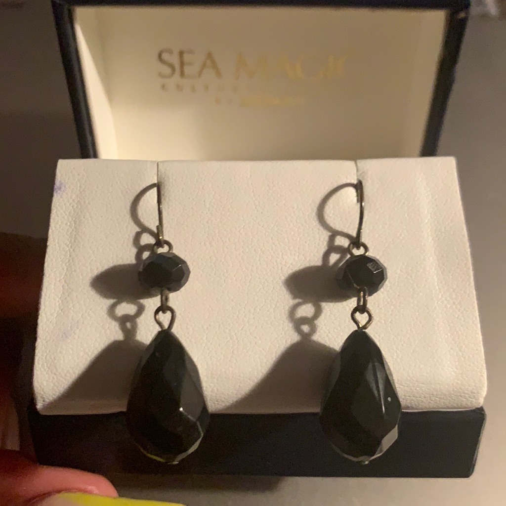 Black Crystal Pendalogue Hook Earrings